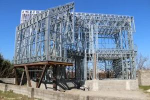 a picture of lsf skeleton