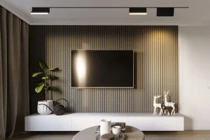 a picture of TV wall design