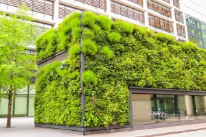 a picture of green architecture