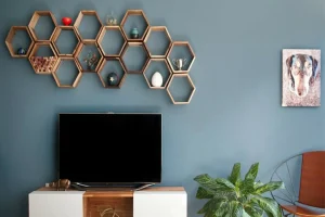 a picture of Wall Decoration