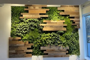 a picture of green wall