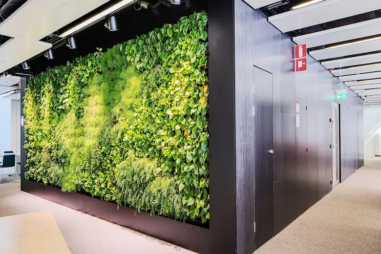 a picture of living wall