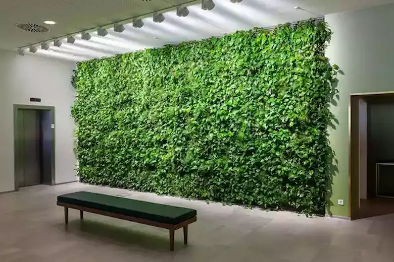 a picture of green wall
