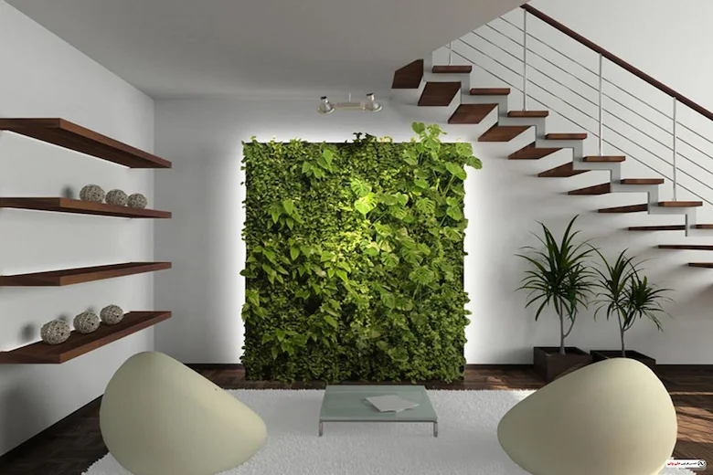 a picture of living wall