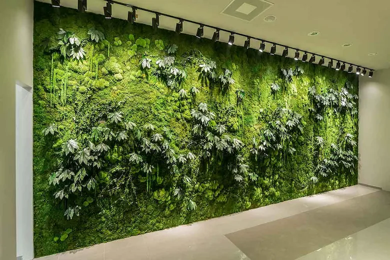 a picture of green wall