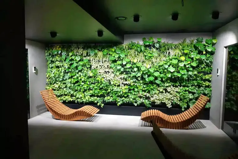 a picture of living wall