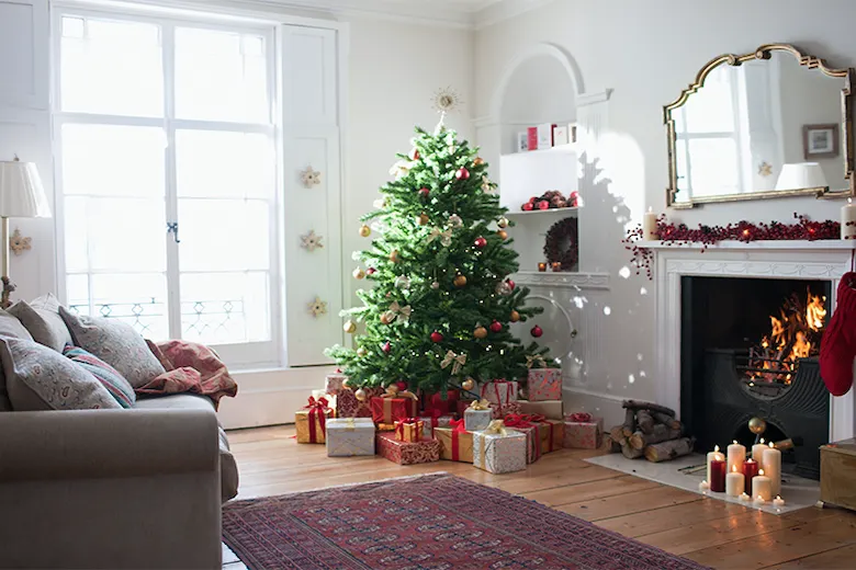 a picture of Christmas Decoration